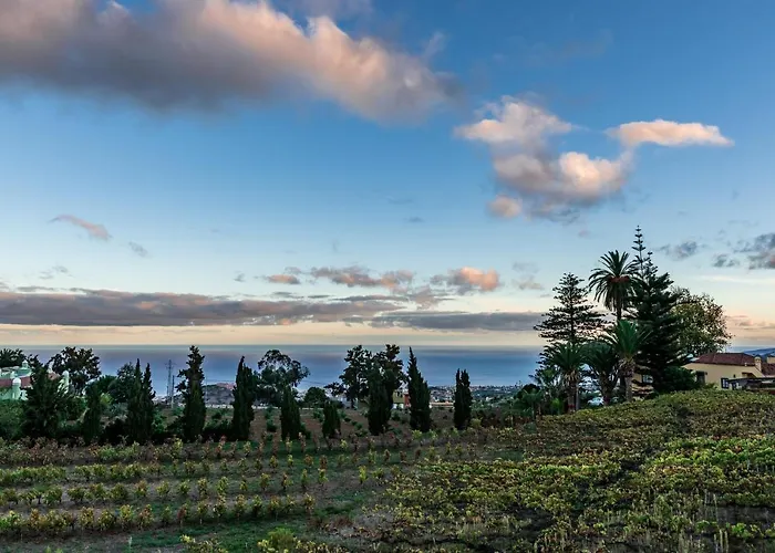 El Lagar Tenerife La Orotava